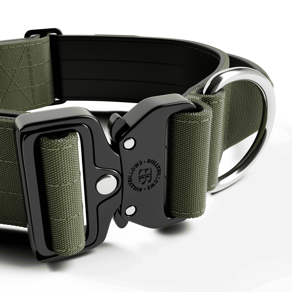 Wide Control-Handle Dog Collar product image 2