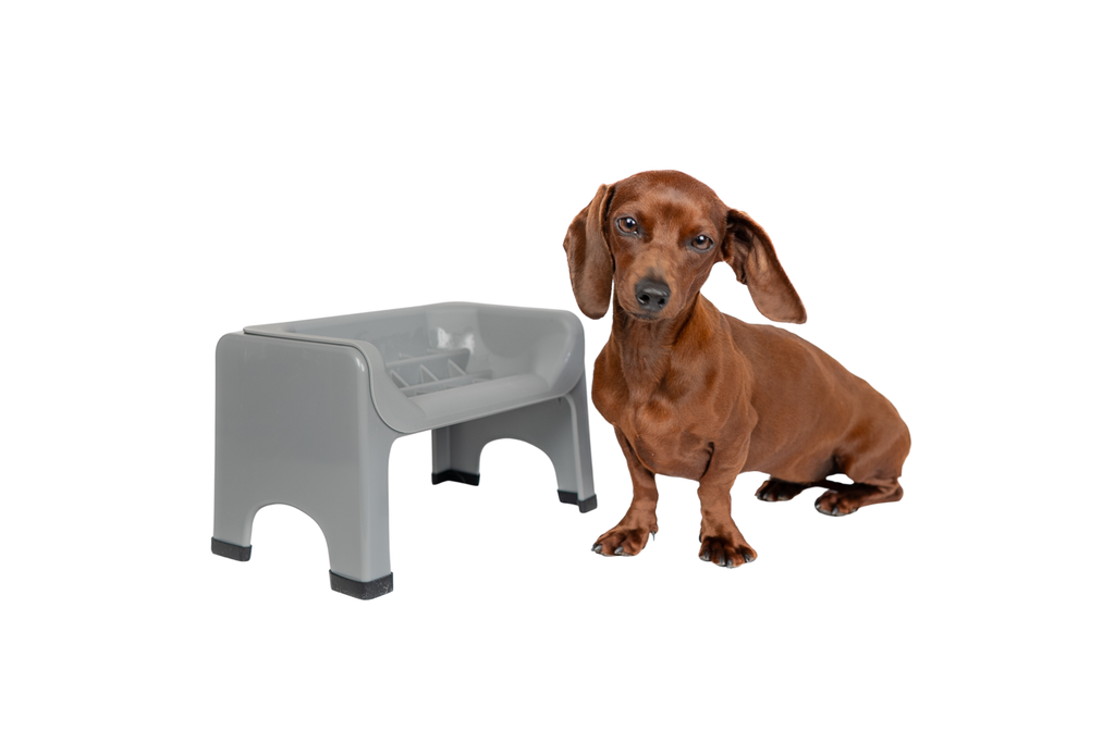 Elevated Pet Slow Feeder Bowl Set product image 4