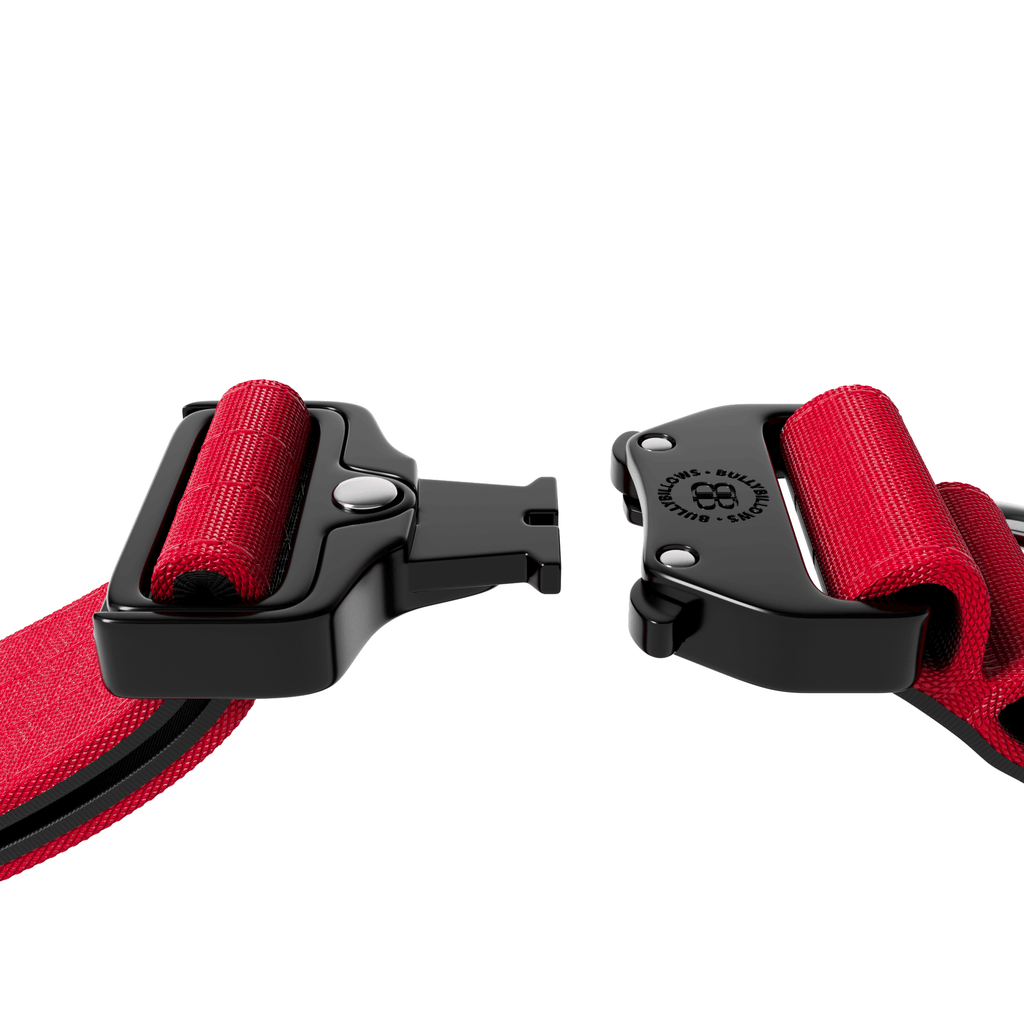 Wide Handle Dog Collar product image 4