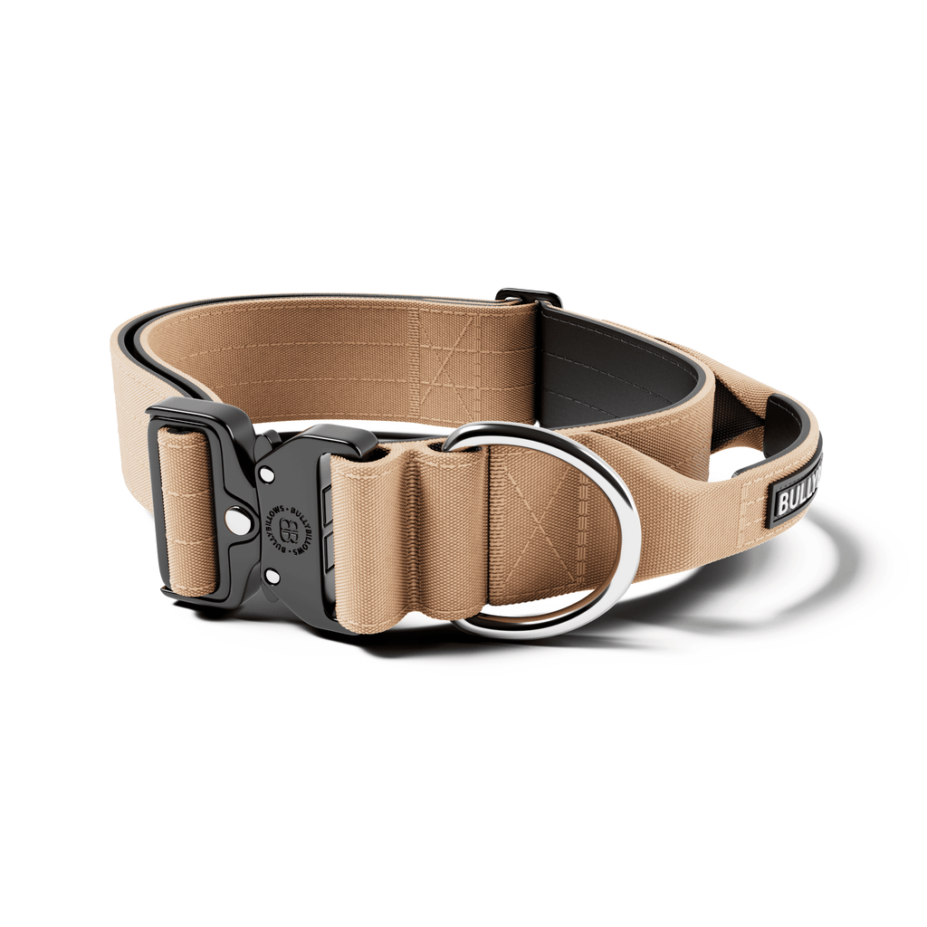 Padded Control-Handle Dog Collar product image 1