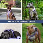 No-Pull Dog Harness Walking Set product image 48