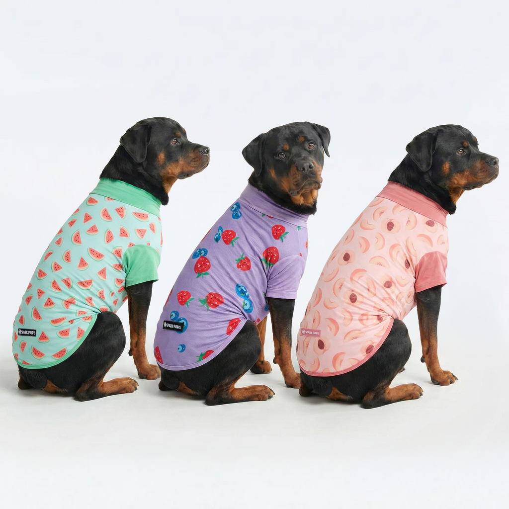 UPF 30 Dog Sun Shirt product image 26