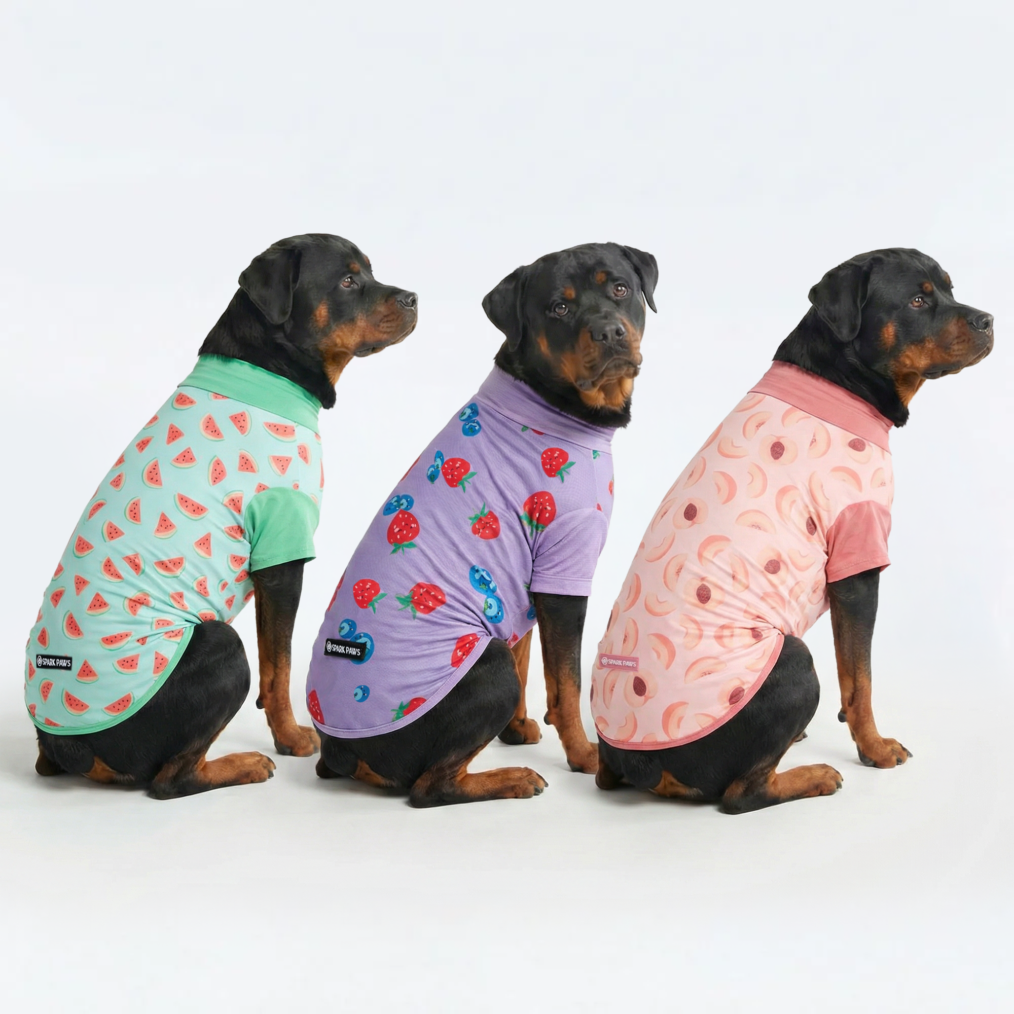 UPF 30 Dog Sun Shirt product image 26