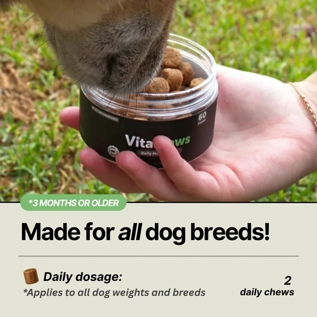 Daily Dog Multivitamin Soft Chews product image 8