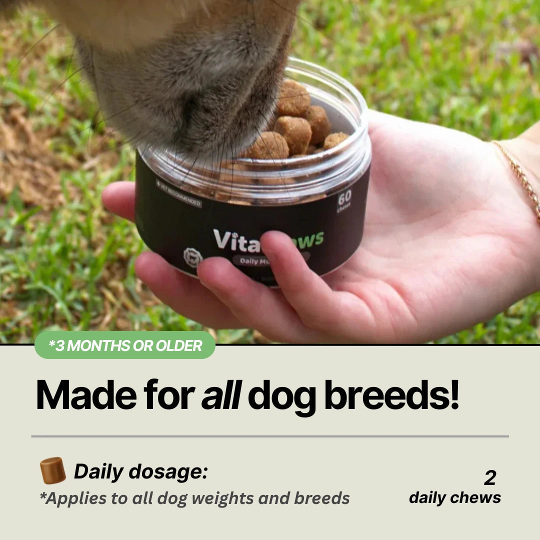 Daily Dog Multivitamin Soft Chews product image 8