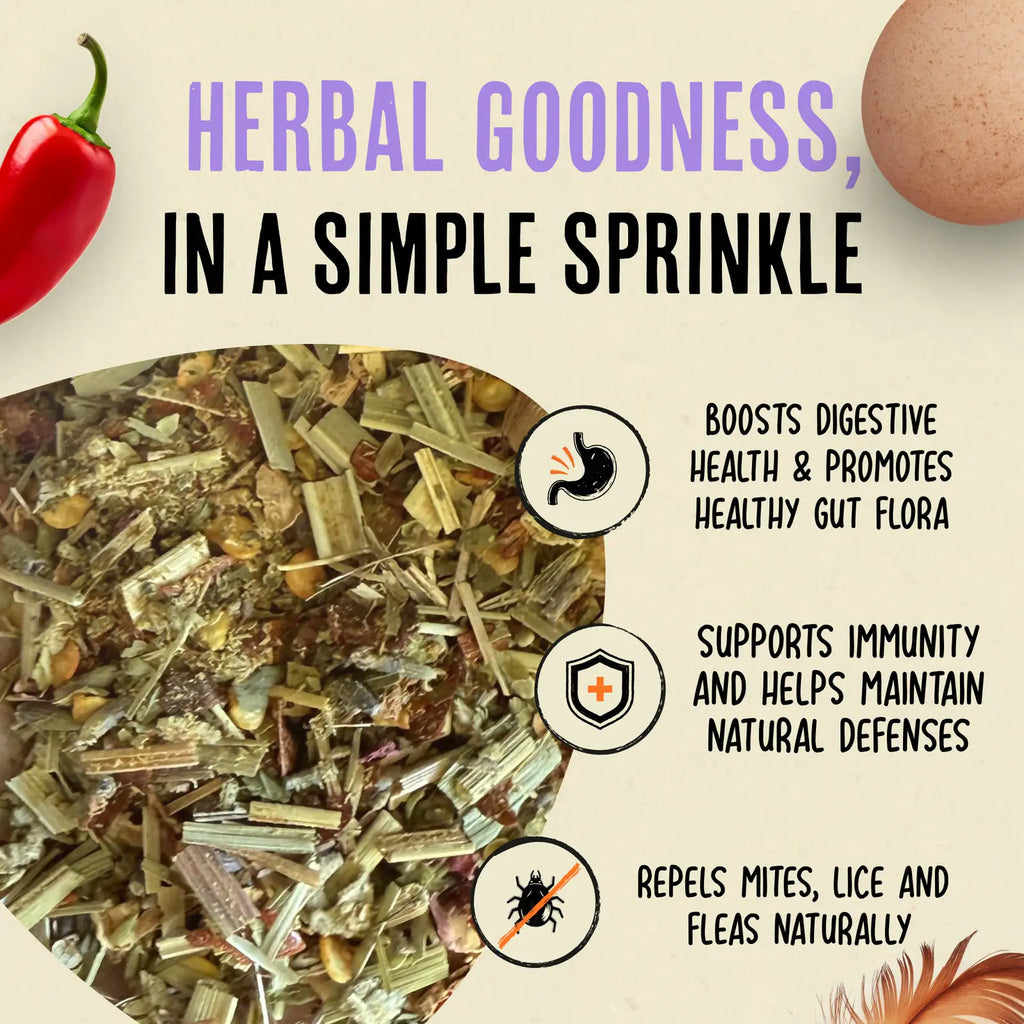 Chicken coop nesting herbs with chili and botanical blend, product image 2