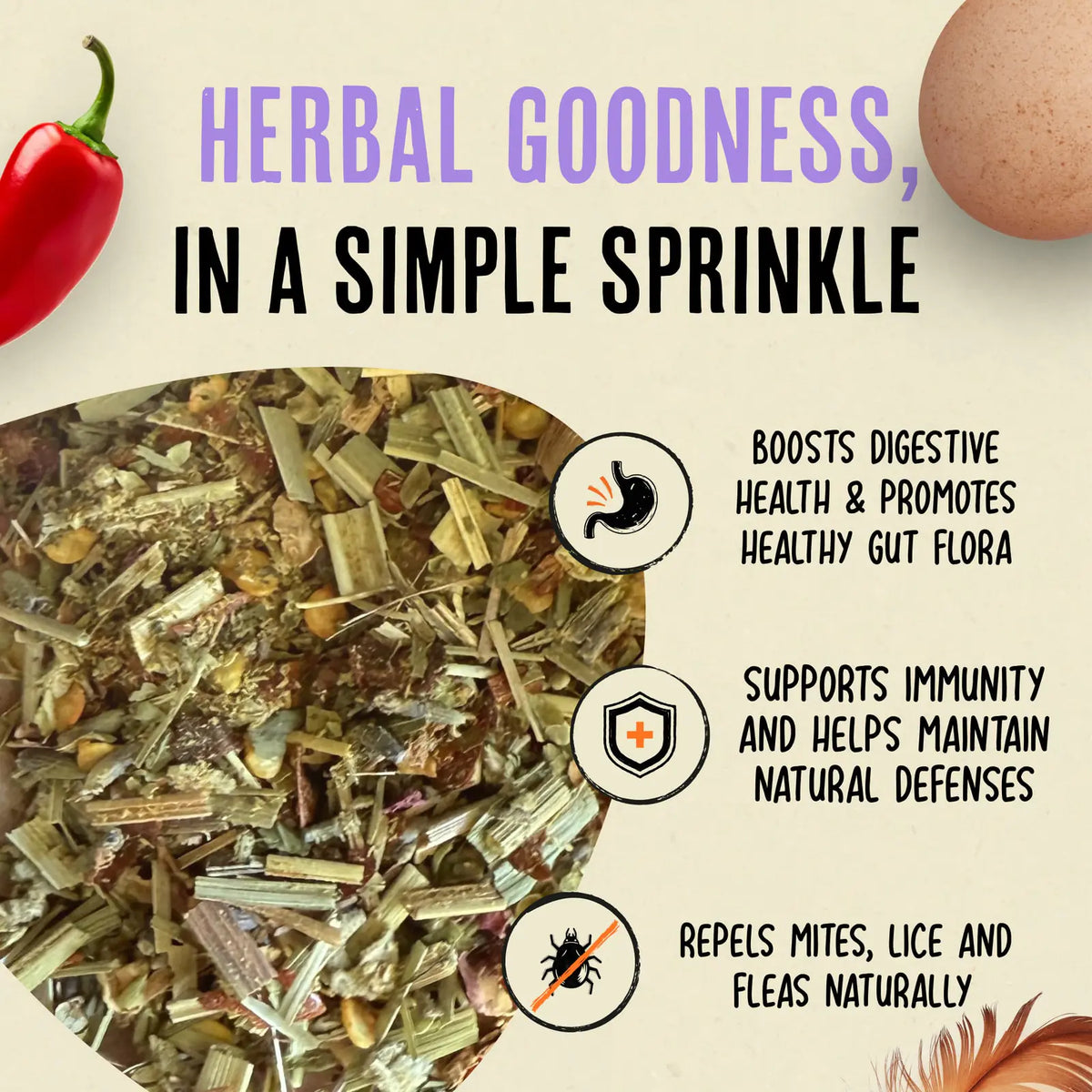 Chicken coop nesting herbs with chili and botanical blend, product image 2