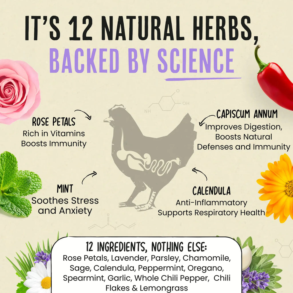 Chicken coop nesting herbs with chili and botanical blend, product image 6
