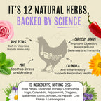 Chicken coop nesting herbs with chili and botanical blend, product image 6