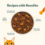 Chicken Duck Quail Dry Cat Food product image 3