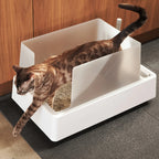 Cove Litter Box product image 6