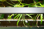 Double-Row Planted Aquarium LED Light product image 20