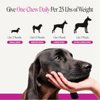 Max-Strength Dog Multivitamin Soft Chews product image 6