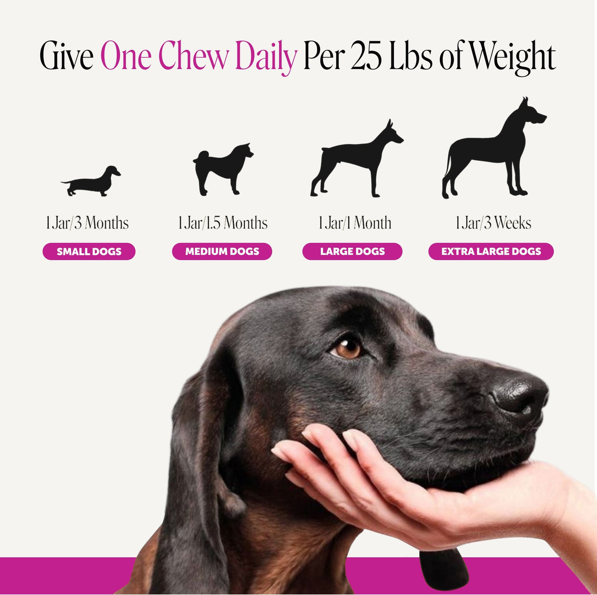 Max-Strength Dog Multivitamin Soft Chews product image 6