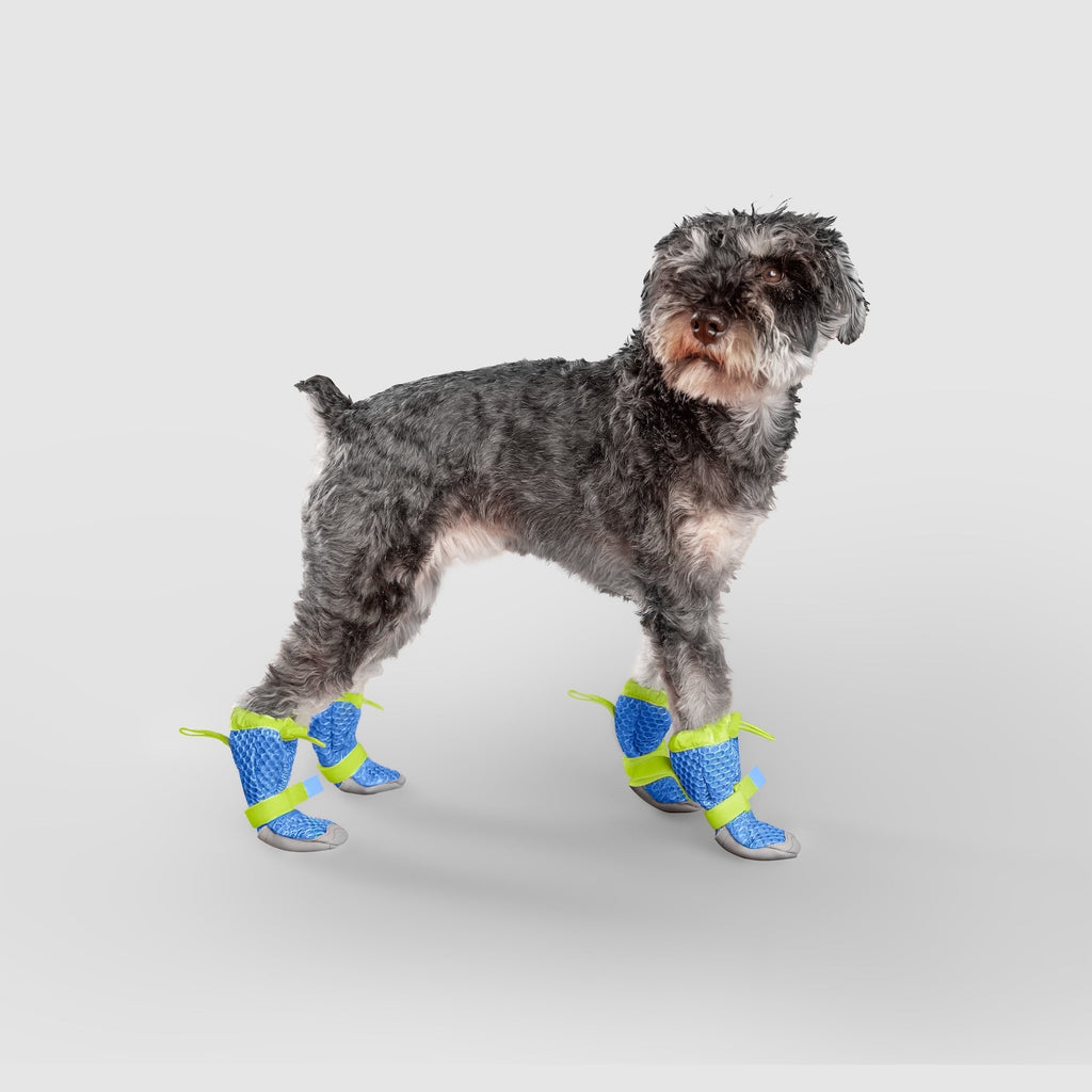 Hot Pavement Dog Boots product image 1