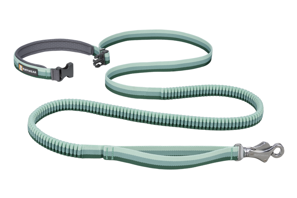 Hands-Free Bungee Dog Leash product image 18
