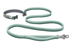 Hands-Free Bungee Dog Leash product image 18