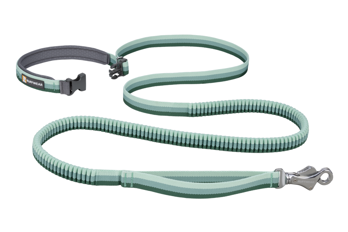 Hands-Free Bungee Dog Leash product image 18