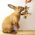 Natural Hay and Twig Toy product image 2