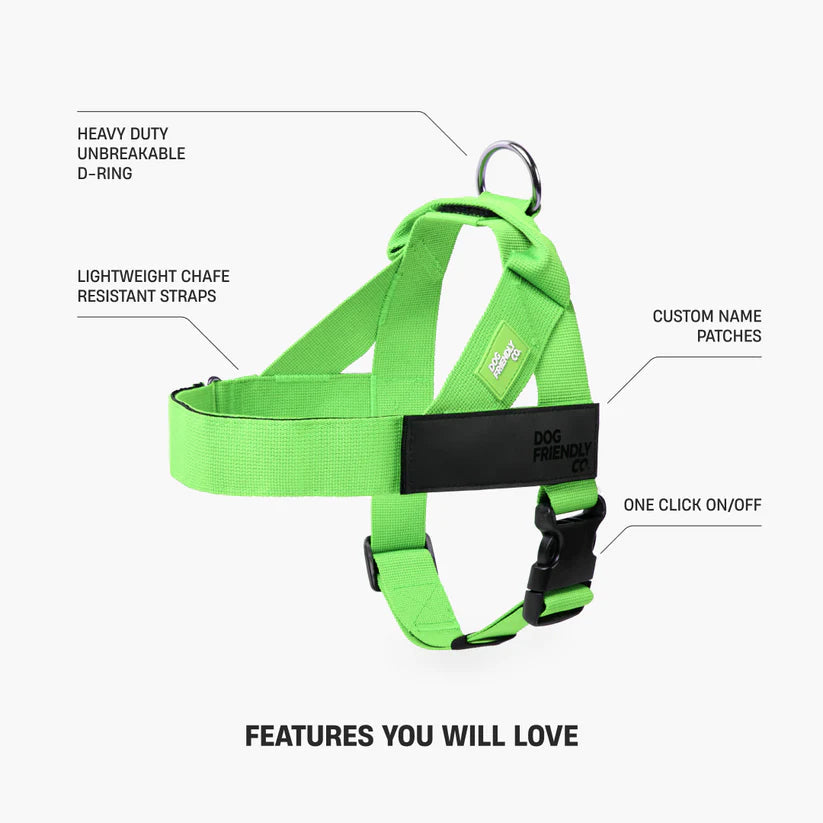 Adjustable Grab-Handle Dog Harness product image 21
