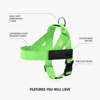 Adjustable Grab-Handle Dog Harness product image 21
