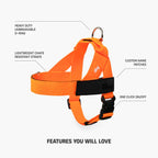 Adjustable Grab-Handle Dog Harness product image 36