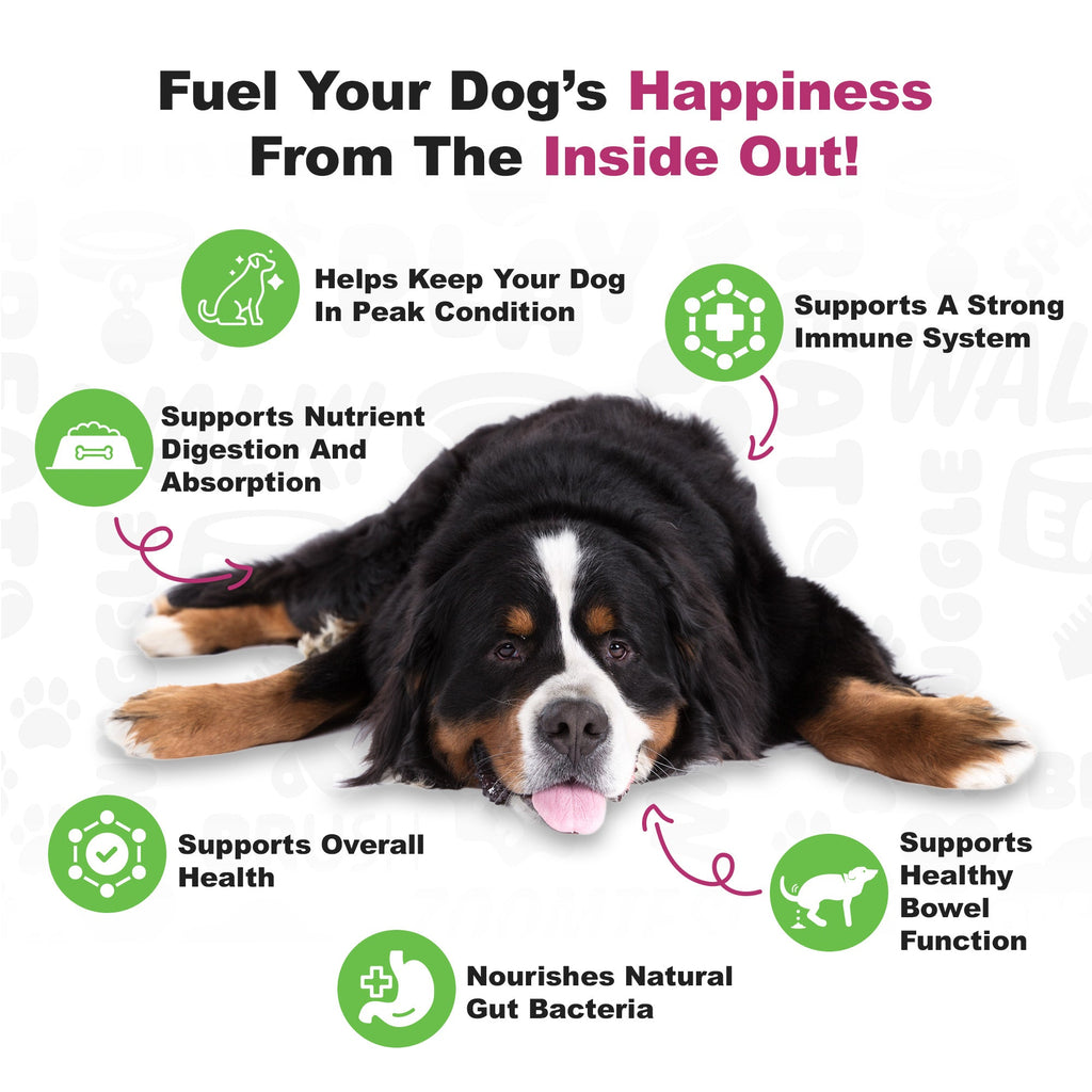Probiotic Dog Soft Chews product image 4