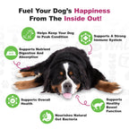 Probiotic Dog Soft Chews product image 4
