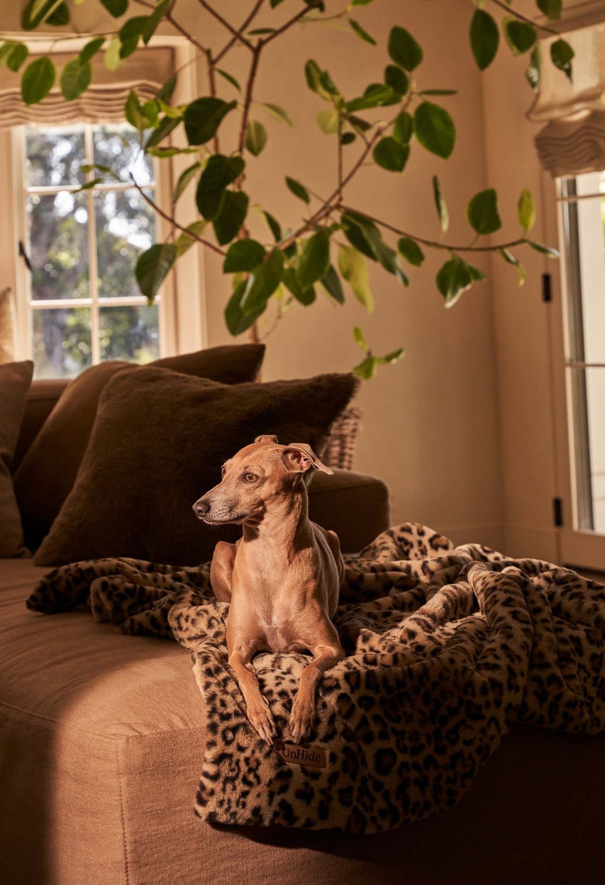 Water-Resistant Pet Blanket product image 48