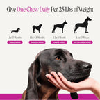 Senior Dog Multivitamin Soft Chews product image 6