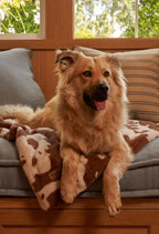 Water-Resistant Pet Blanket product image 43