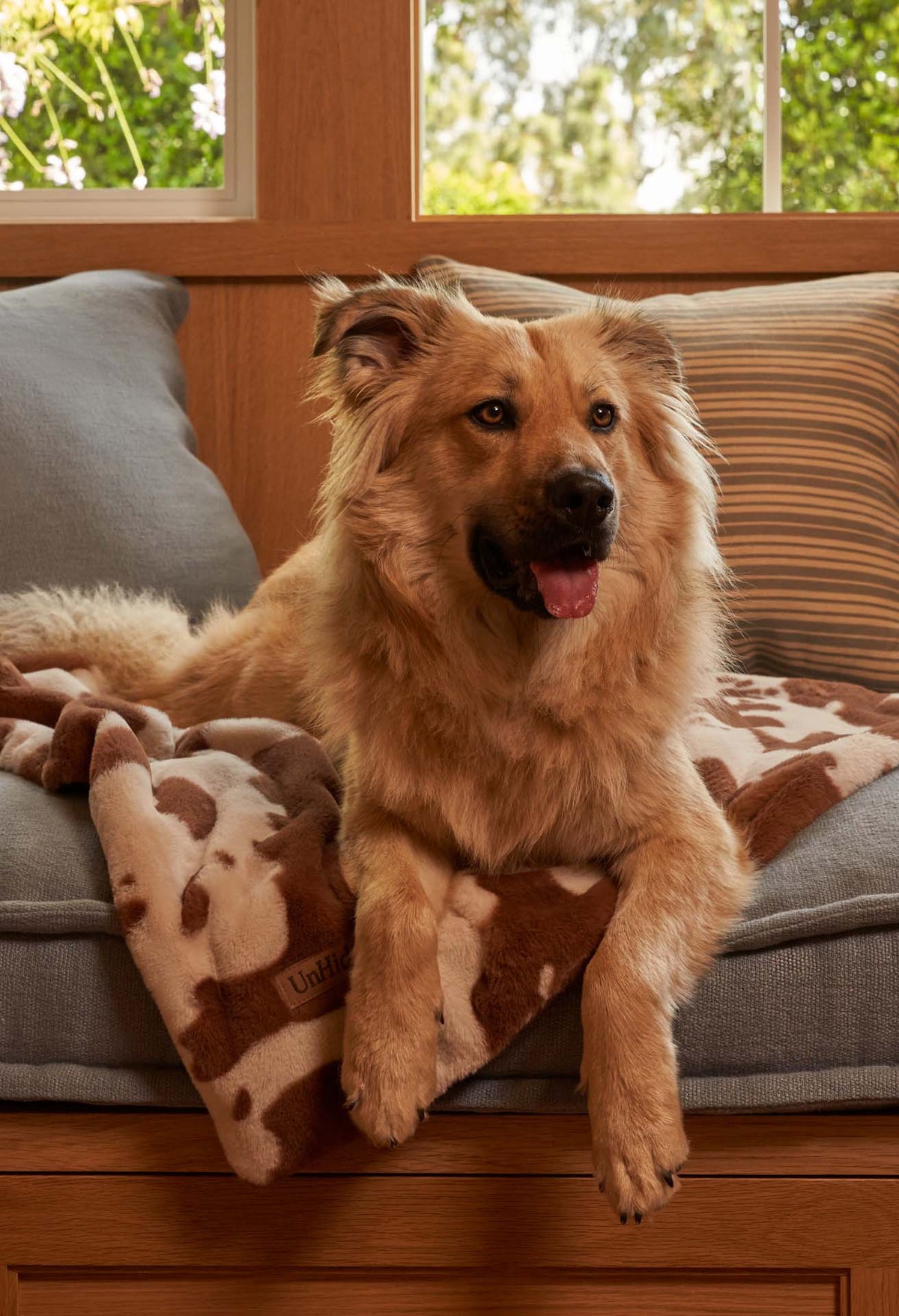 Water-Resistant Pet Blanket product image 43