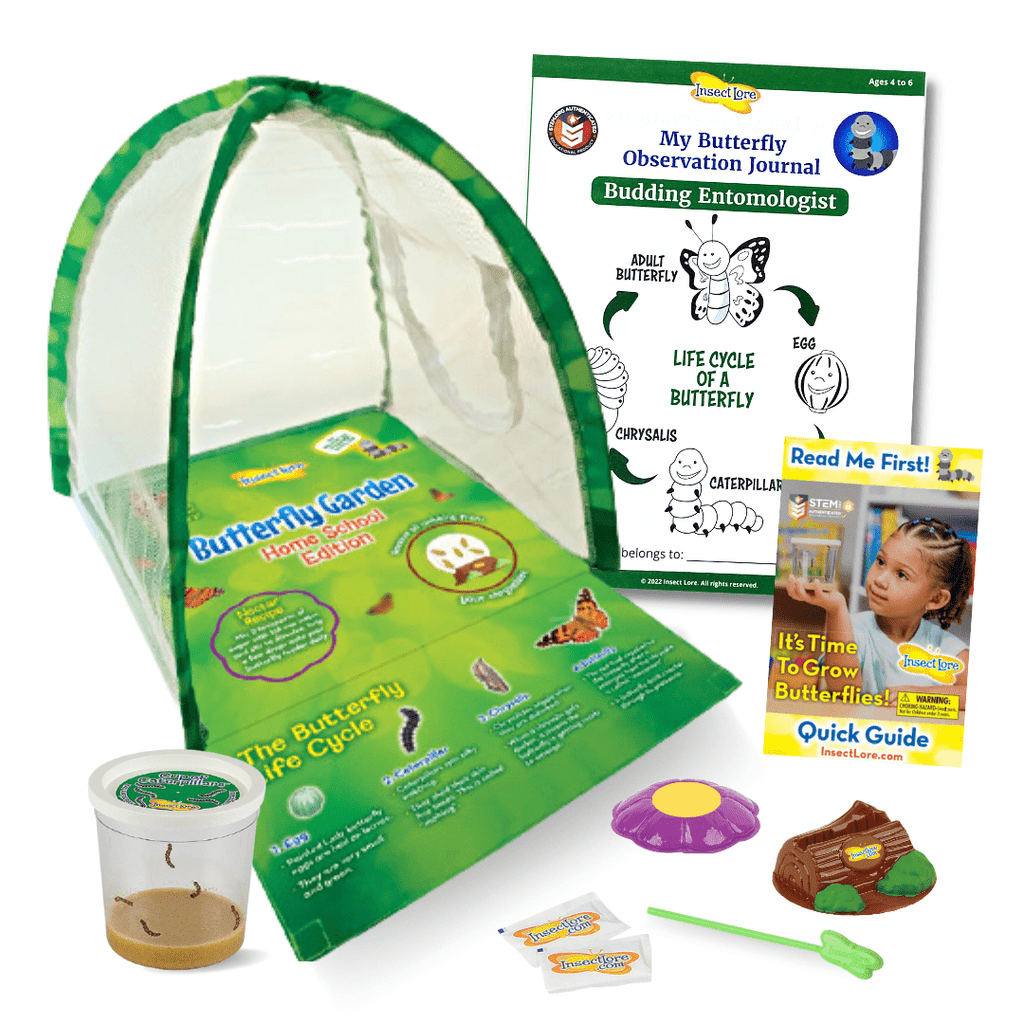 Butterfly Growing Kit product image 1