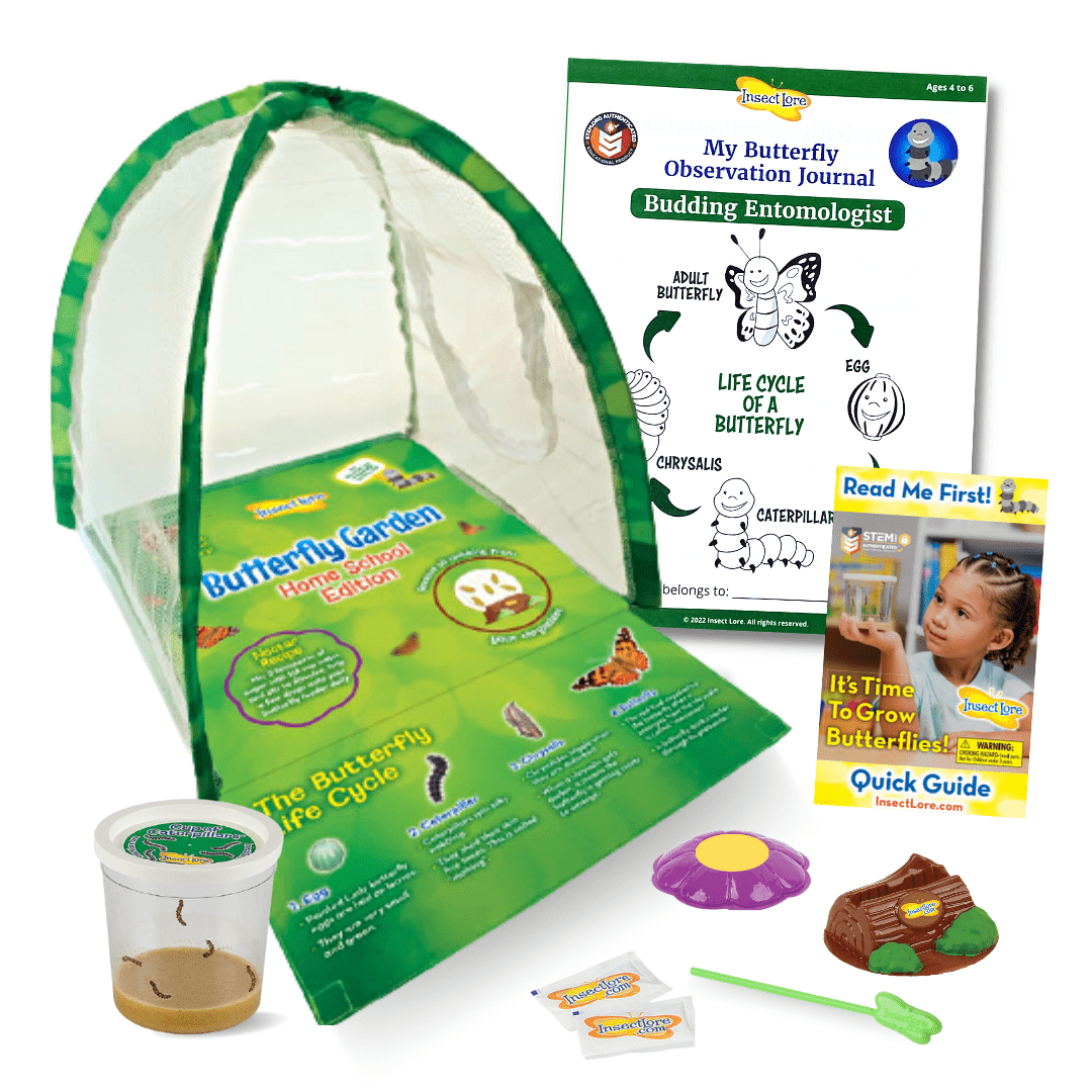 Butterfly Growing Kit product image 1