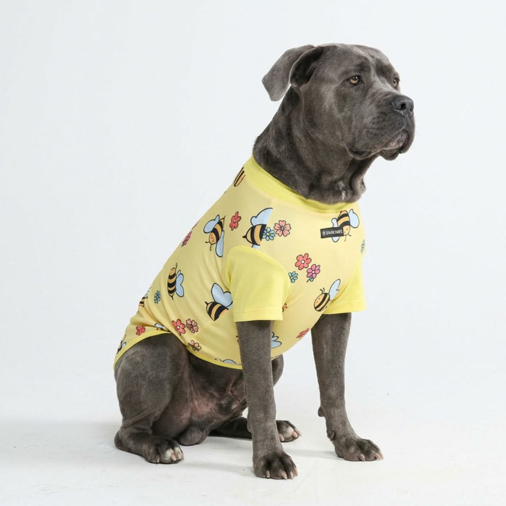 UPF 30 Printed Dog Sun Shirt product image 4