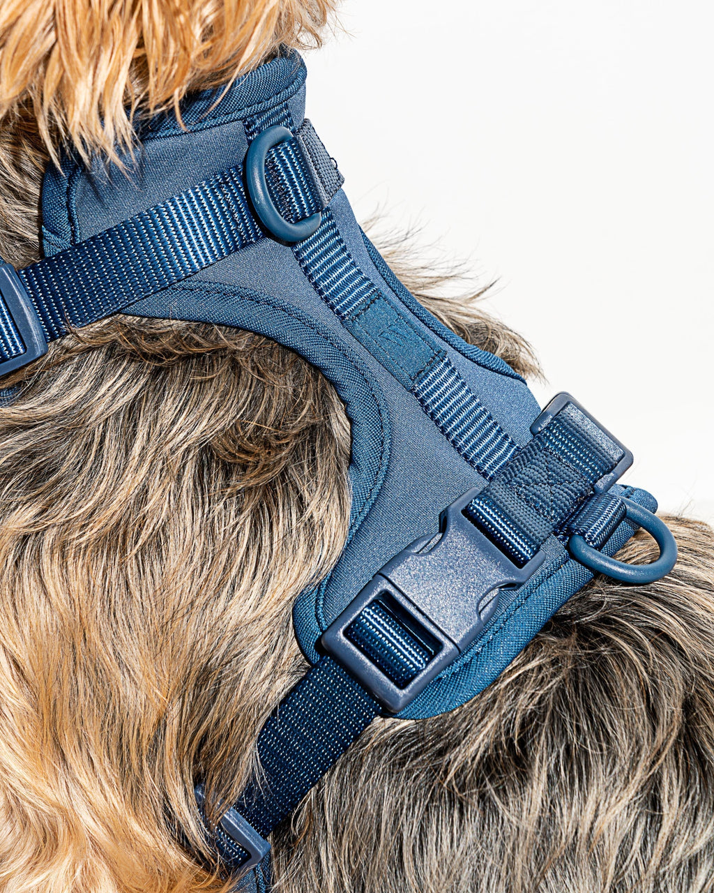 Cushioned No-Pull Dog Harness product image 44