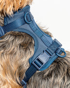 Cushioned No-Pull Dog Harness product image 44