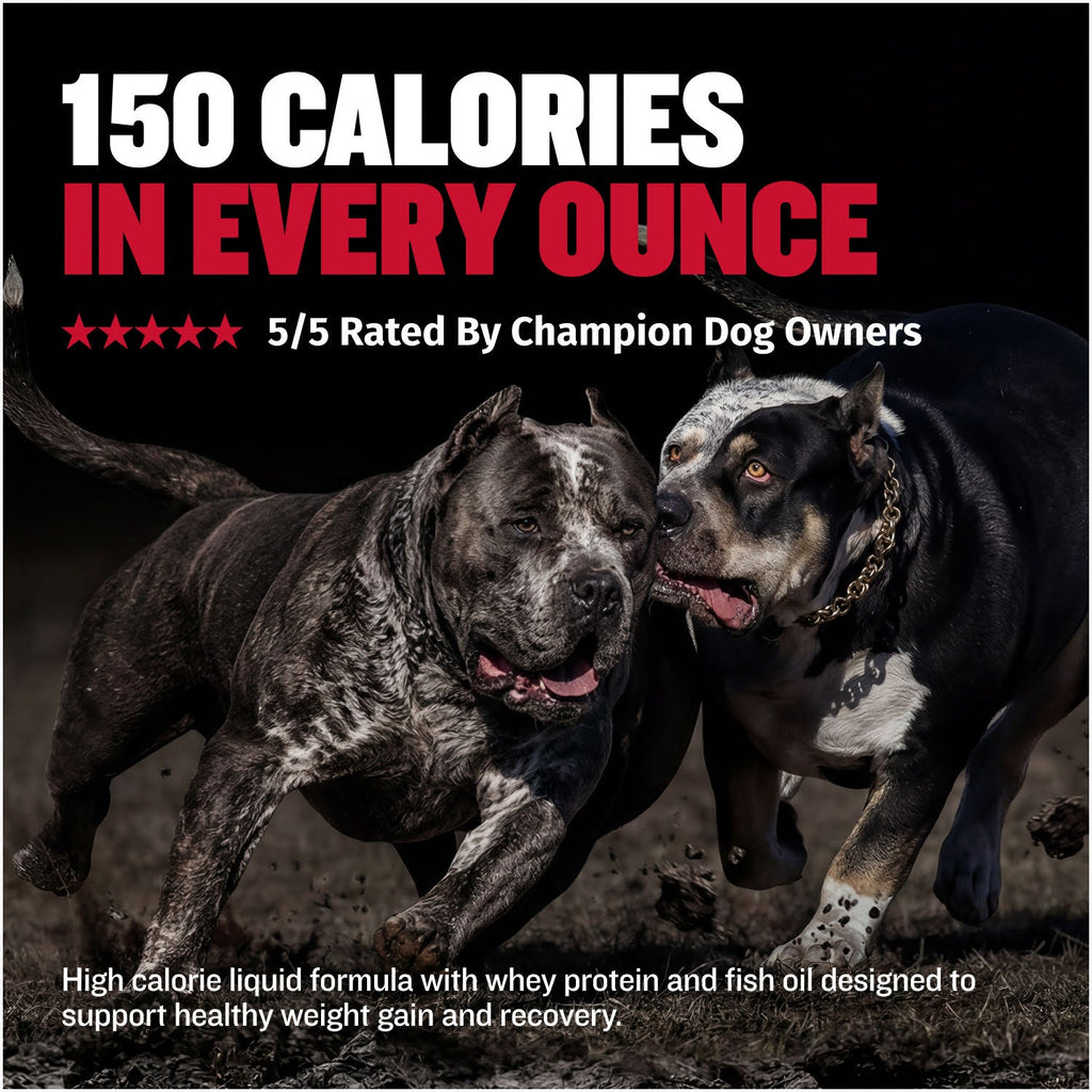 High-Calorie Liquid Dog Weight Supplement product image 5