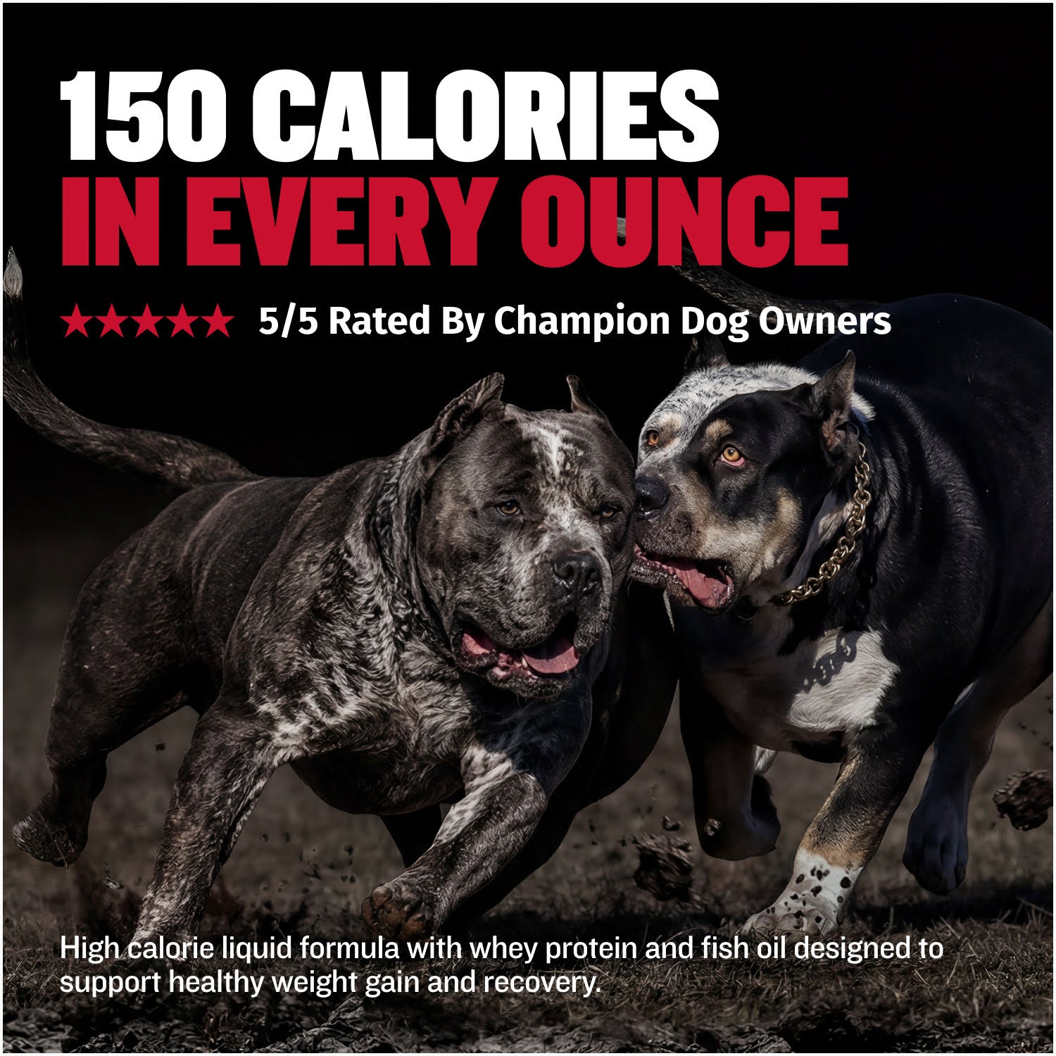 High-Calorie Liquid Dog Weight Supplement product image 5