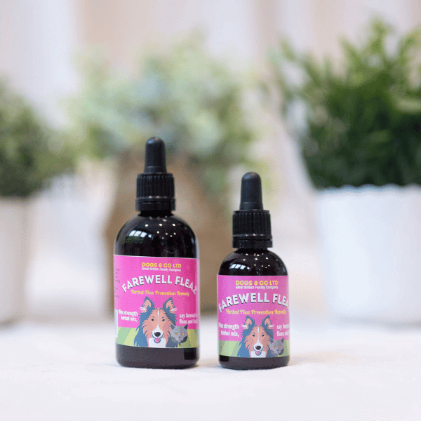 Herbal Flea and Tick Care Drops product image 1