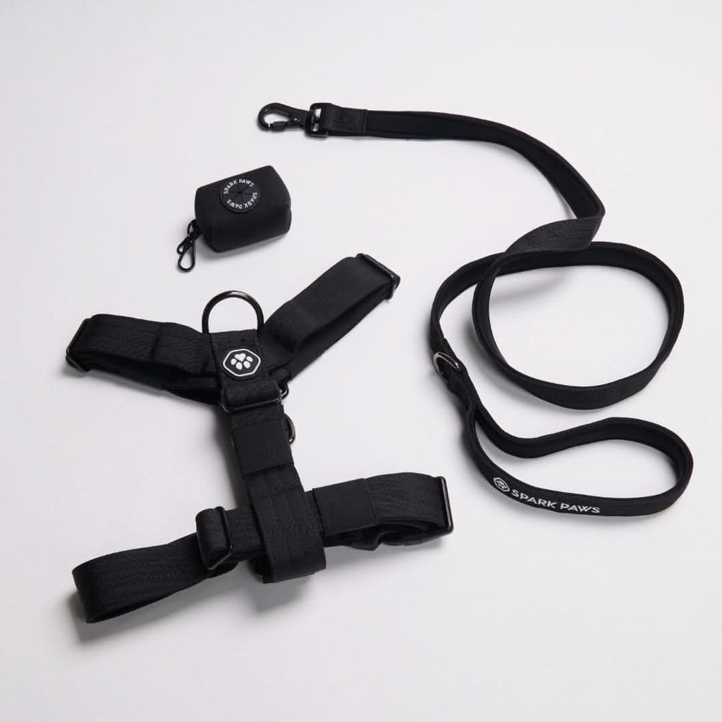 No-Pull Dog Harness Walking Set product image 22
