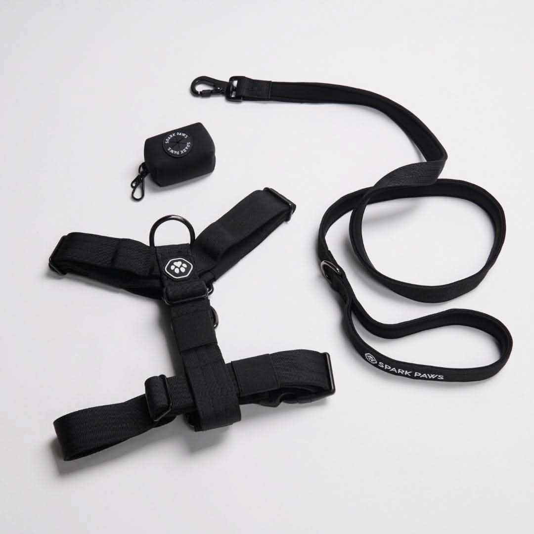 No-Pull Dog Harness Walking Set product image 22