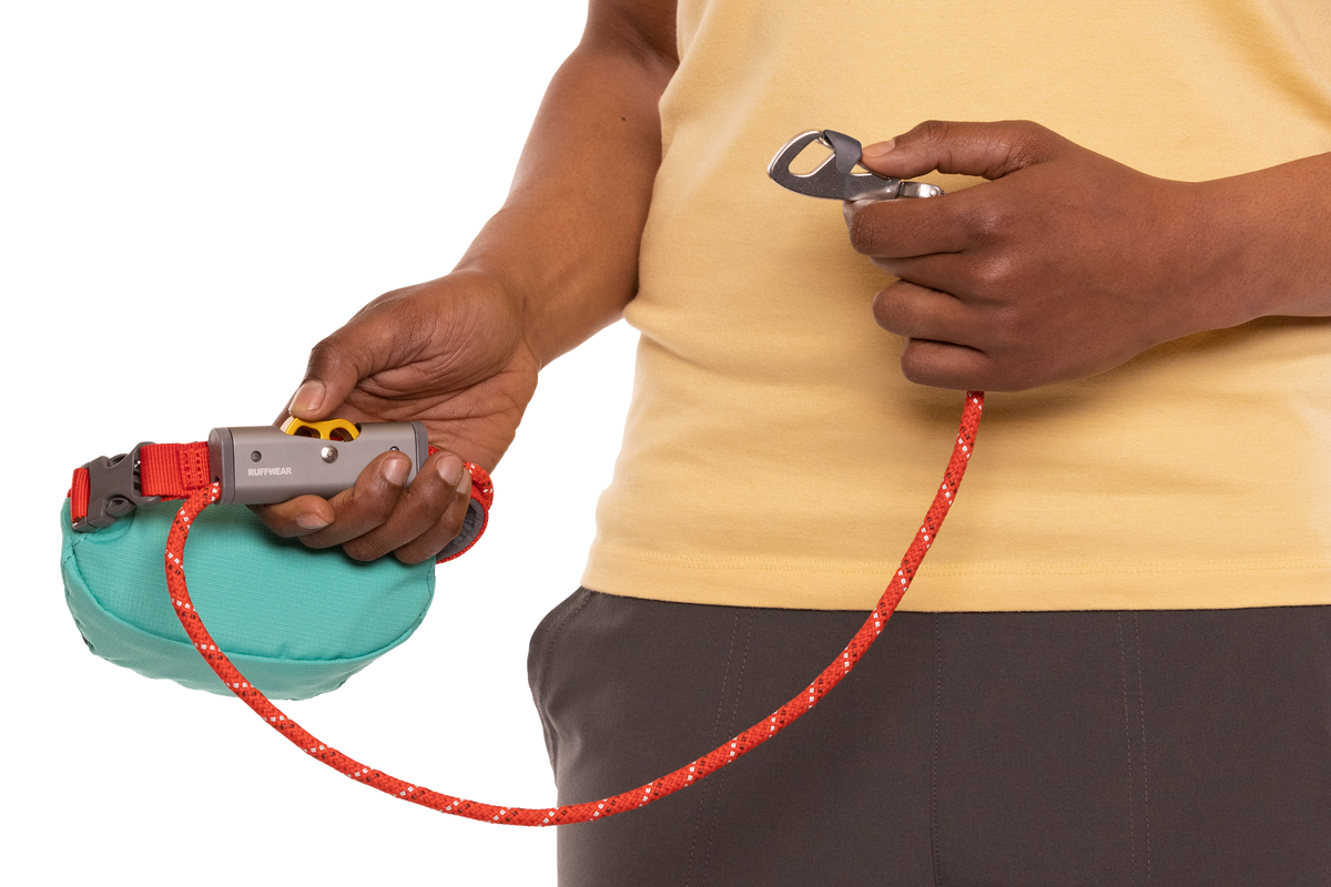Adjustable Dog Leash and Hitching System product image 20
