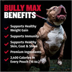 High-Calorie Liquid Dog Weight Supplement product image 2