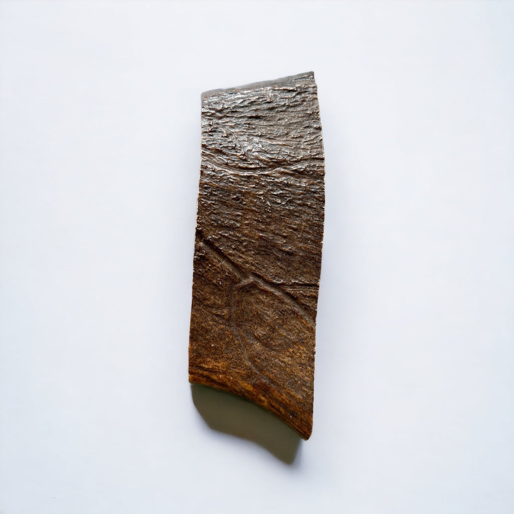 Moose Antler Paddle Dog Chew product image 7