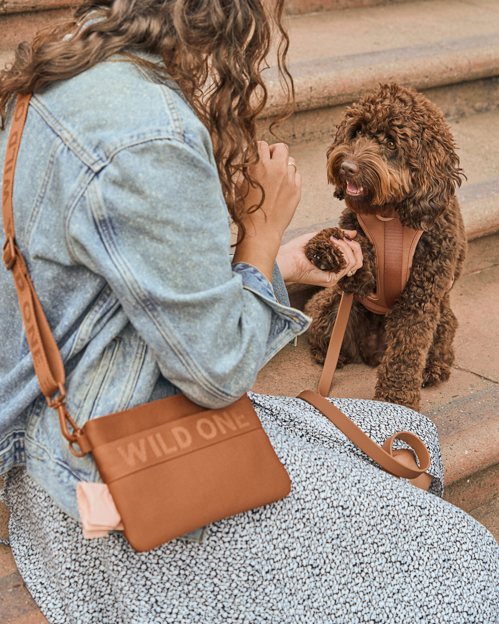 Cushioned No-Pull Dog Harness product image 38