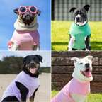 UPF 30 Dog Sun Shirt product image 46