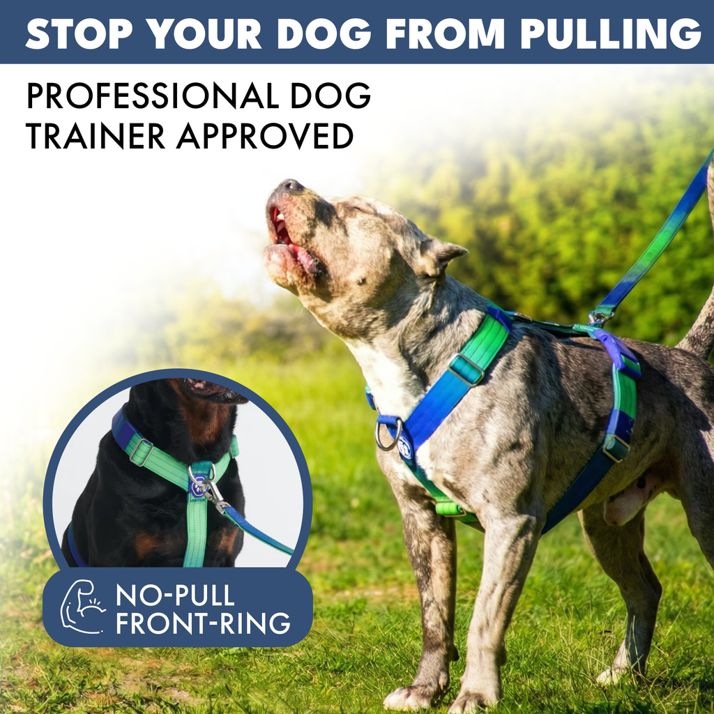 No-Pull Dog Harness Walking Set product image 17
