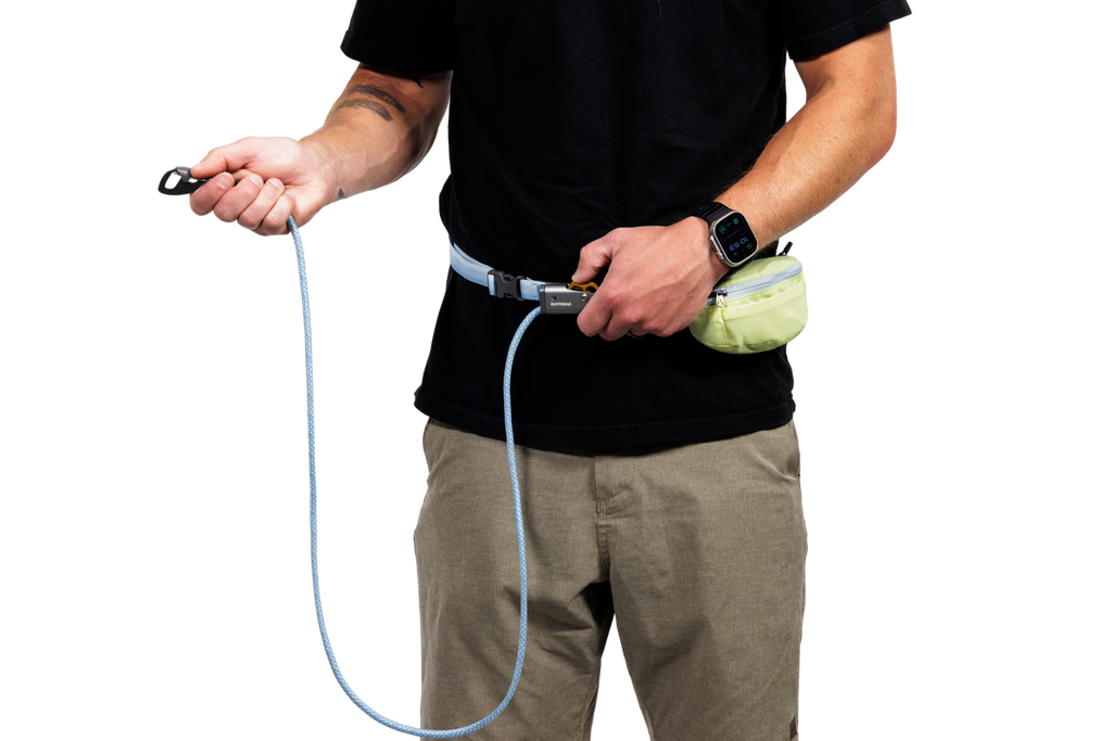 Adjustable Dog Leash and Hitching System product image 6