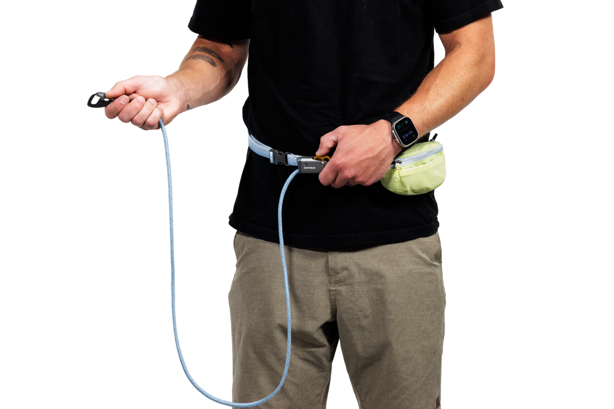 Adjustable Dog Leash and Hitching System product image 6